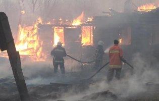 На Житомирщині не можуть приборкати масштабні пожежі:  назвали ймовірну причину