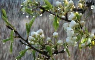 Завтра Україну накриють дощі з грозами