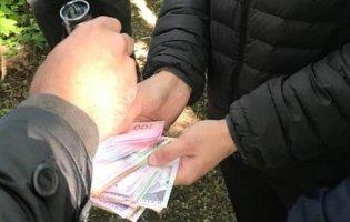 У Луцьку затримали поліцейського, який збував наркотики