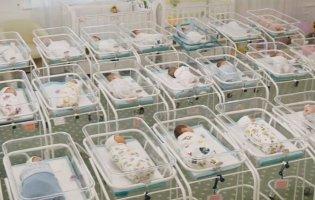 Діти як товар: в готелі в Києві утримують 46 немовлят від сурогатних матерів