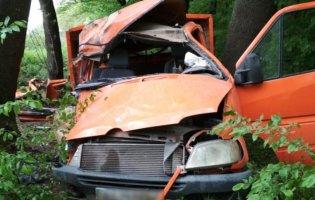 На Волині Mercedes врізався у дерево:  постраждали пасажири