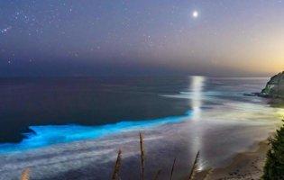 В США пісок та хвилі почали випромінювати блакитне неонове сяйво