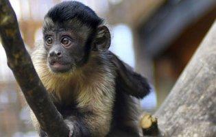 «Яке милоття»: атмосферні фото тваринок зоопарку  Луцька