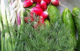 Ранні овочі: як споживати без шкоди для здоров’я