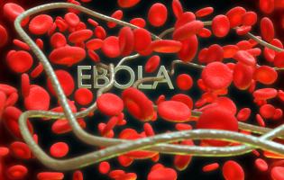Нова загроза: де зафіксували спалах лихоманки Ебола