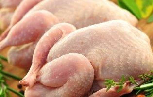 Польща експортувала в Луцьк курятину, в якій виявили сальмонелу