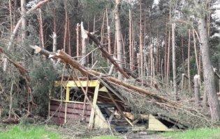 Зірвані дахи і повалені дерева: Волинню пронісся буревій
