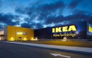 Вирубка українського лісу: в IKEA відповіли на звинувачення