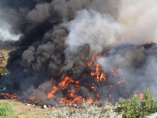  1 липня було ліквідовано вогонь на території в тисячу метрів квадратних / Фото ДСНС
