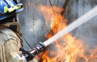 Масштабна пожежа на Миколаївщині: другий день горить сміттєзвалище
