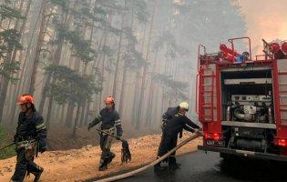 Лісова пожежа на Луганщині: залучили Нацгвардію та ЗСУ