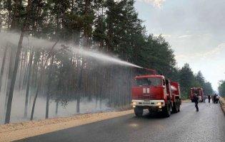 Масштабна пожежа на Луганщині: відкрили «кримінал»
