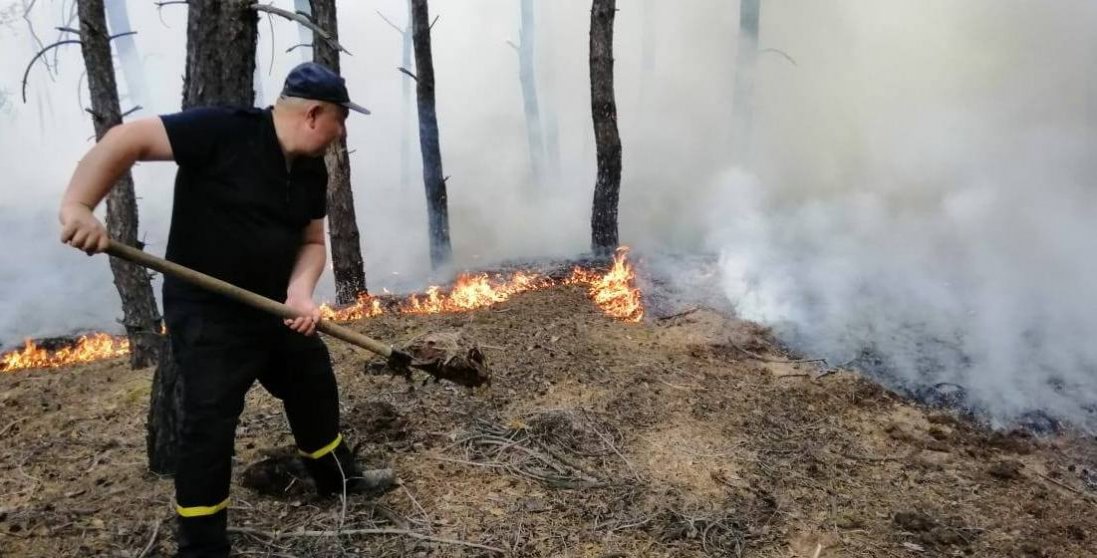 Опублікували відео, як невідомі підпалюють поля у Луганській області