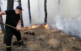 Опублікували відео, як невідомі підпалюють поля у Луганській області