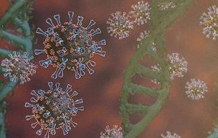 За добу в Луцьку виявили 8 випадків коронавірусу, у районах – 22