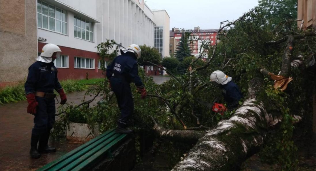 Вода у кафе та повалене дерево: у Франківську - потужна негода