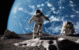 Чорнобильські гриби захищатимуть астронавтів від радіації в космосі