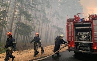 Пожежа на Луганщині: збитки сягають близько 4-5 млрд грн