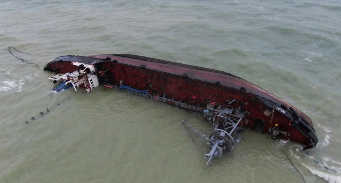 В Одесі біля затопленого танкера знайшли мертвого дельфіна