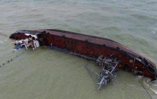 В Одесі біля затопленого танкера знайшли мертвого дельфіна