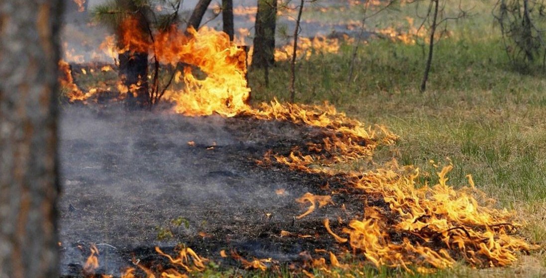 Оголосили про пожежну небезпеку: які регіони України під загрозою