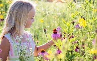 Якою буде погода в найближчі дні