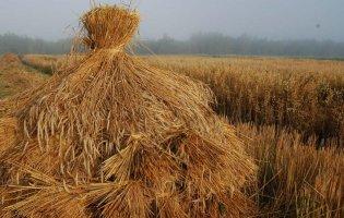 9 серпня в Україні: що не можна робити в цей день