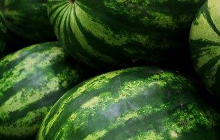 Ціна на кавуни обвалилася через баржу з Херсона