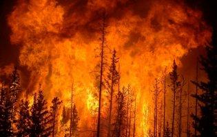 Пожежа на Луганщині: через пориви вітру ускладнилась ситуація