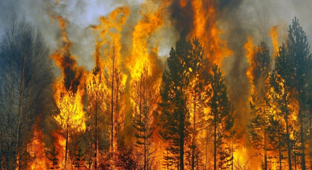 Пожежа на Харківщині: вогонь знищив село