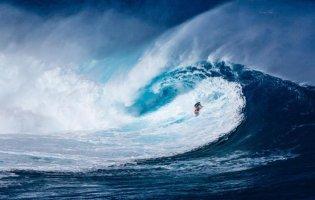 Вирвав дружину з пащі акули