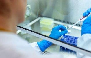 В Україні почали продавати довідки з негативним тесту на коронавірус