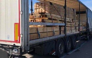 Митники «Ягодина» зупинили вивезення «лівого» лісу в Люксембург