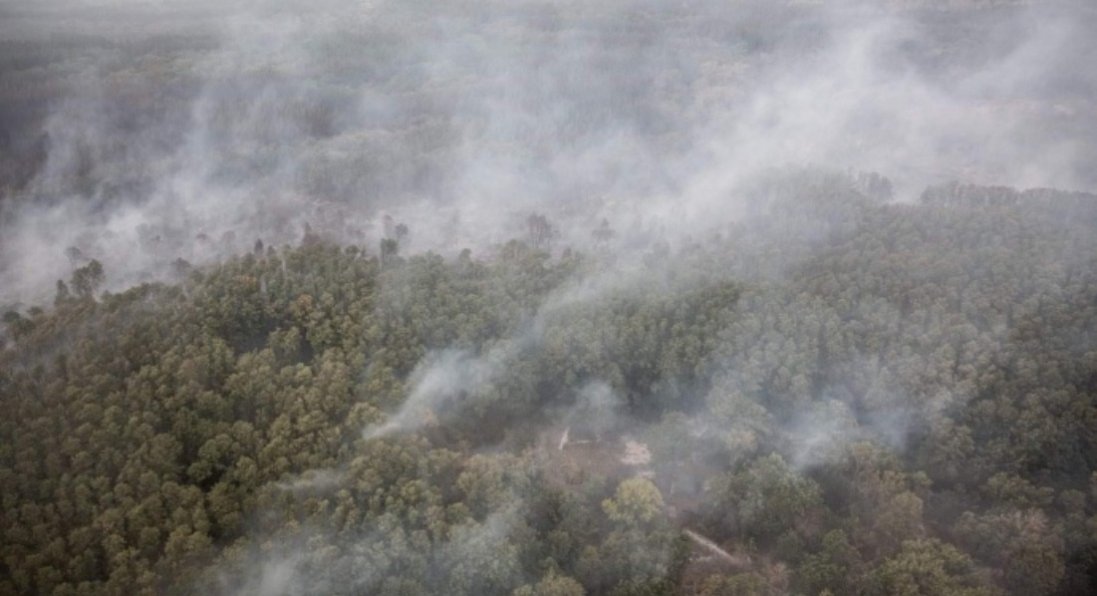 Пожежі на Луганщині: вогонь вразив 11 тисяч гектарів землі