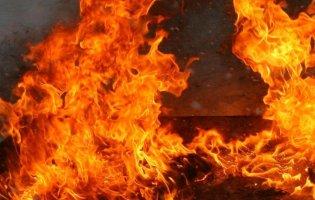 Пожежі на Луганщині: локалізували ще один осередок горіння