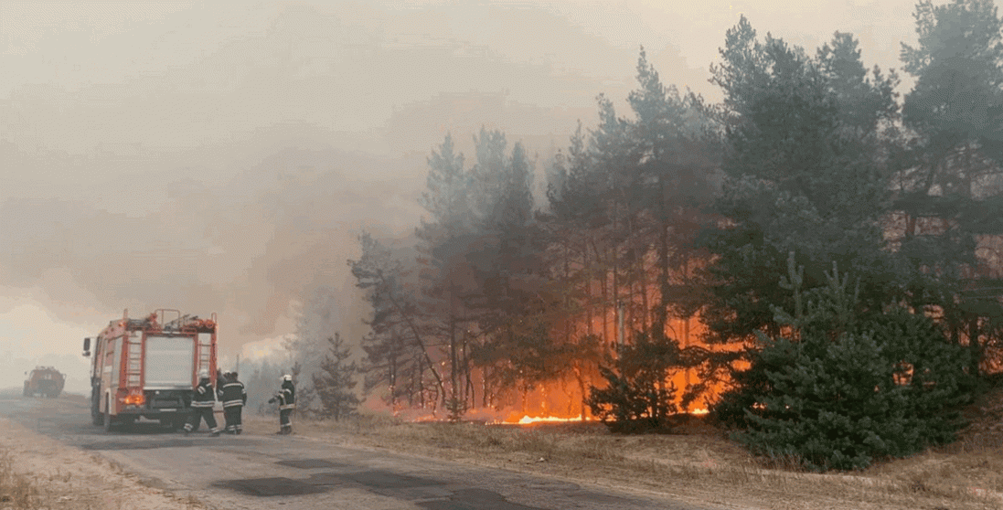 На Луганщині і досі ліквідовують пожежі: загасили 6 із 8 осередків загоряння