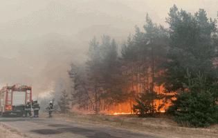 На Луганщині і досі ліквідовують пожежі: загасили 6 із 8 осередків загоряння