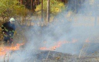 На Луганщині вогонь знищив більше 500 будинків