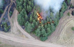 На Луганщині – нові пожежі: детонують снаряди