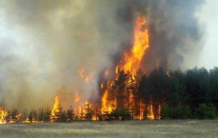 На Луганщині і досі гасять пожежі: вітер не вщухає
