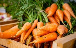 Морква: коли вибирати, де зберігати і як вберегти від хвороб