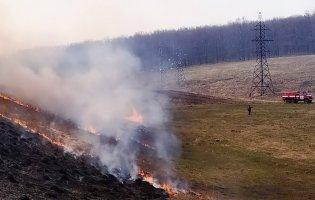 На Луганщині врешті загасили пожежу