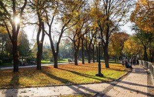 Синоптики дали прогноз погоди на листопад