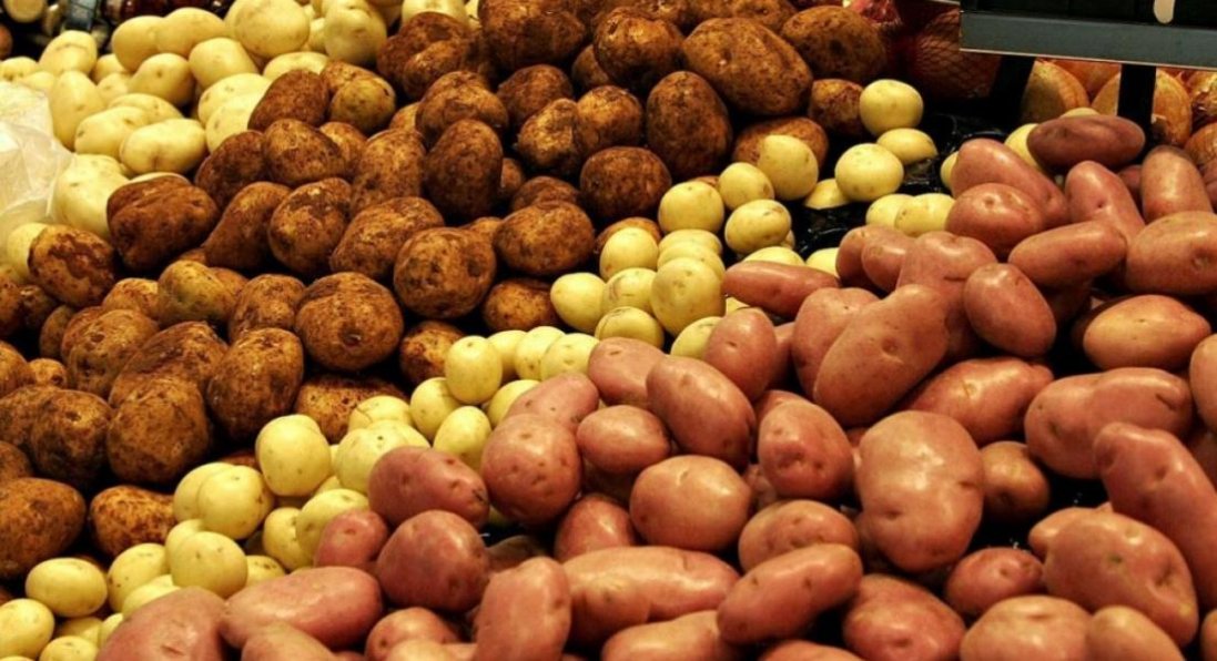 В Україні впала ціна на картоплю