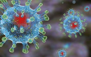 В Україні за добу – 7 342 нових випадки коронавірусу, на Волині – 218 (29 жовтня)