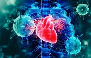 В Україні – 11057 нових хворих на COVID-19 за добу (12 листопада)