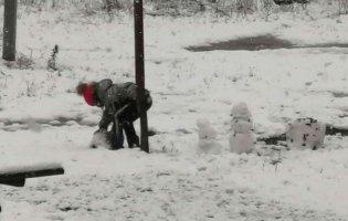 В Україні випав перший сніг. Де саме
