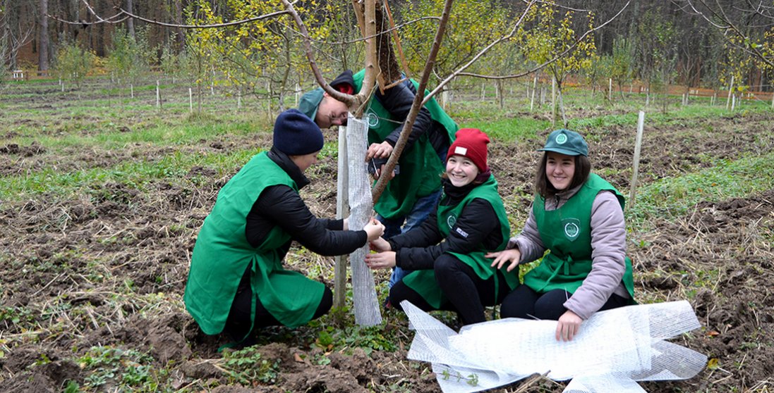 Вихованці шкільних лісництв допомогли підготувати до зими фруктовий сад у Воротневі