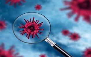 На Волині — 361 новий випадок коронавірусу. Де найбільше? (17 листопада)