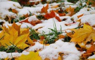Снігу до 3 см: в Україні похолодало